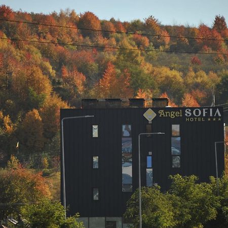 Hotel Angel Sofia Fălticeni エクステリア 写真