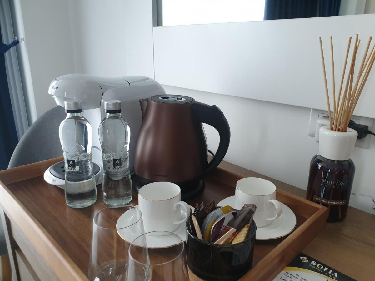 Hotel Angel Sofia Fălticeni エクステリア 写真