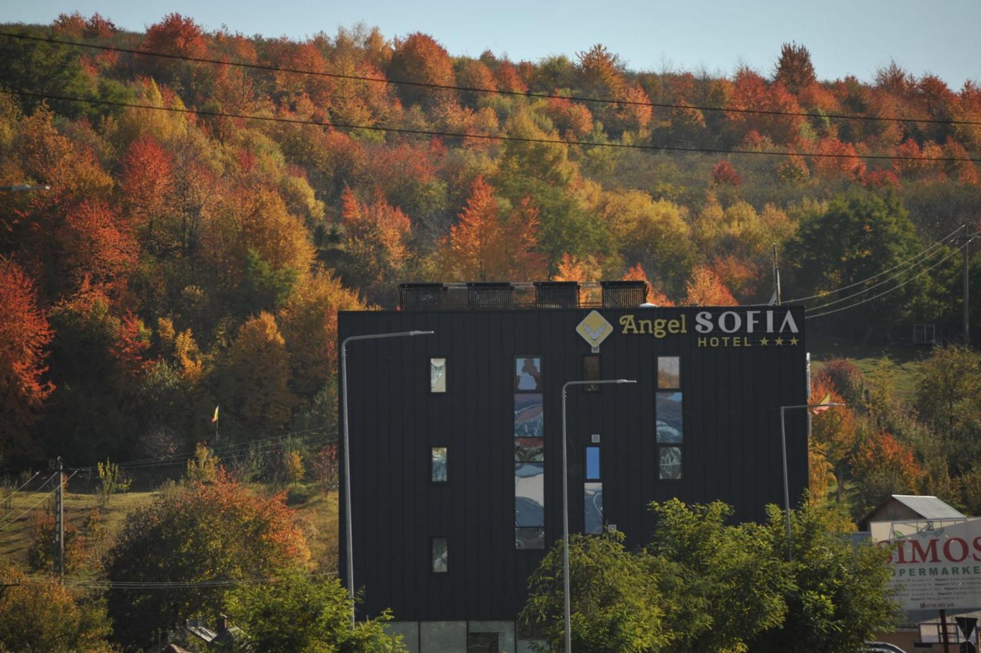 Hotel Angel Sofia Fălticeni エクステリア 写真