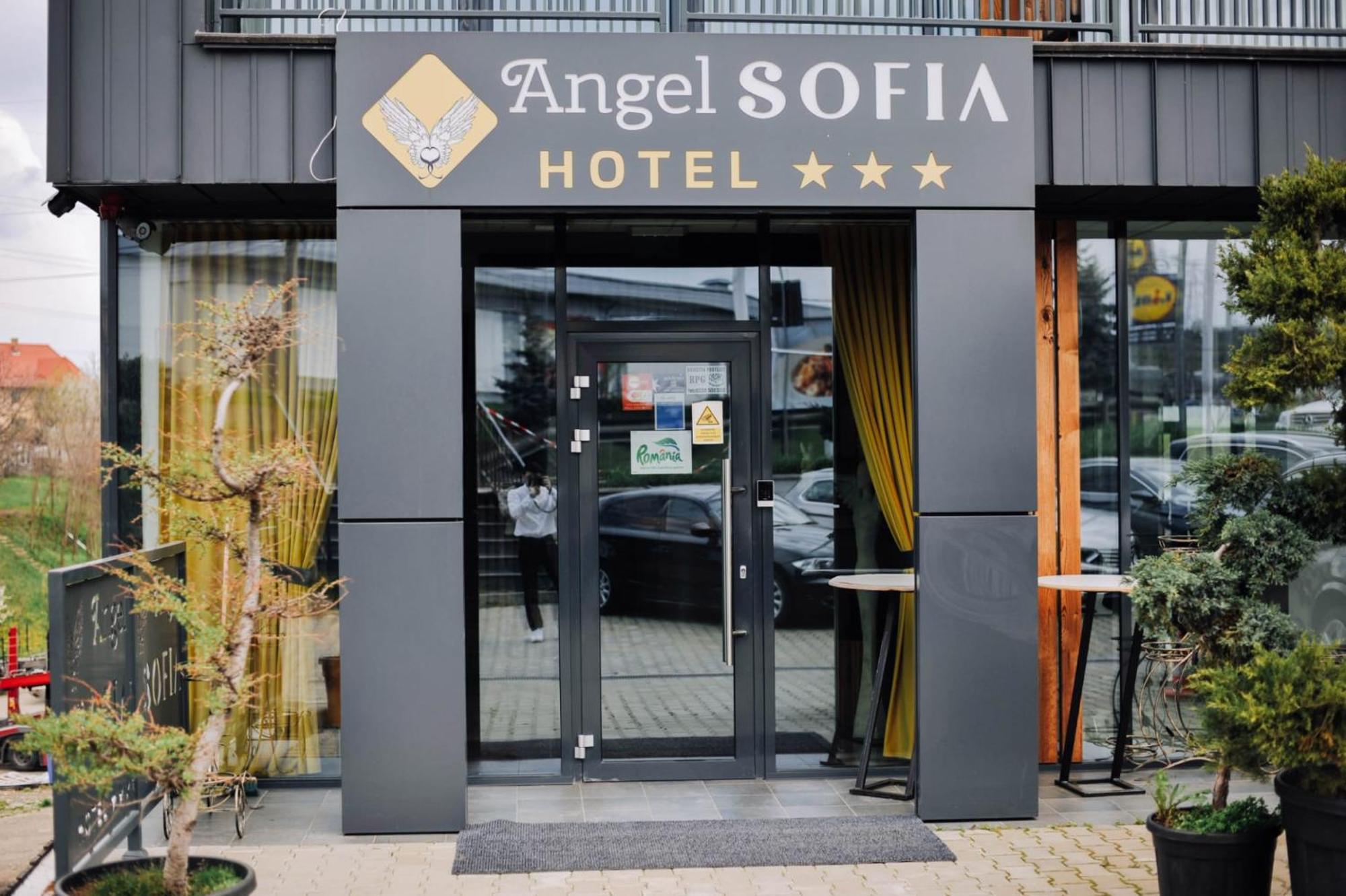 Hotel Angel Sofia Fălticeni エクステリア 写真
